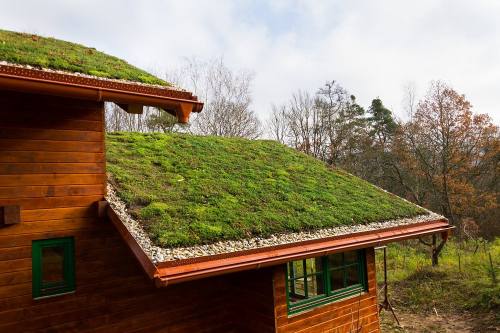 Jakie korzyści zapewnia montaż zielonego dachu?