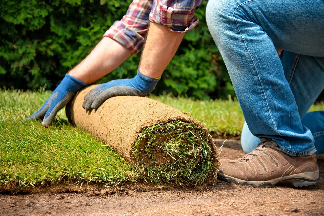 układanie trawy z rolki